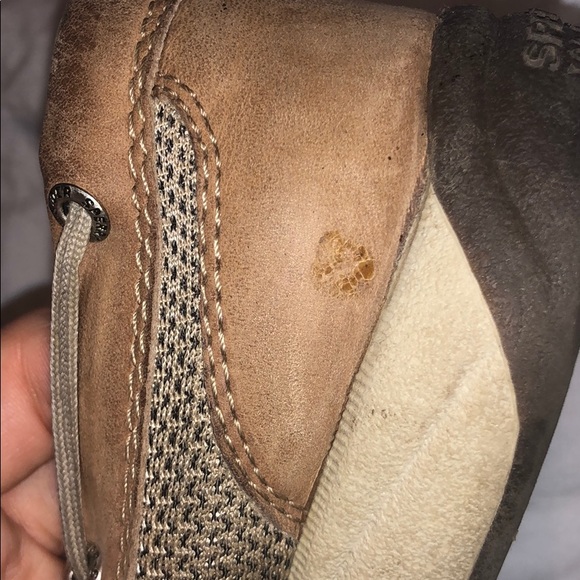 Sperrys - Picture 5 of 8
